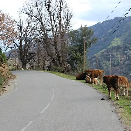 Village House Nyaraló Felce